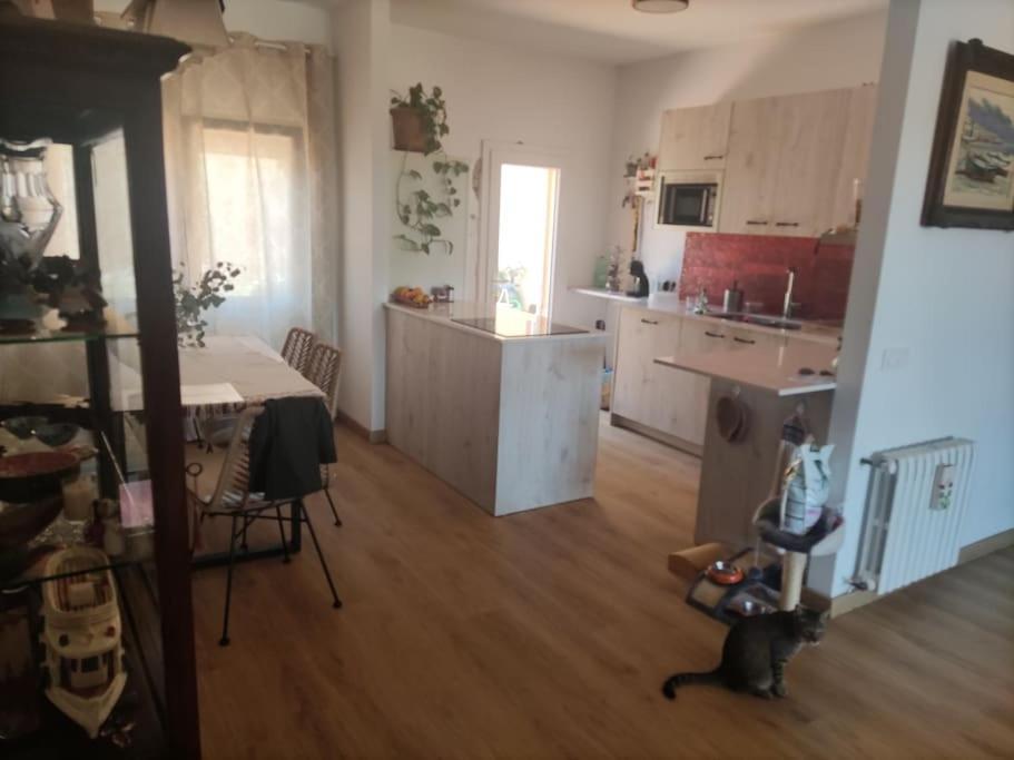 Habitacion Doble Palafrugell Ngoại thất bức ảnh